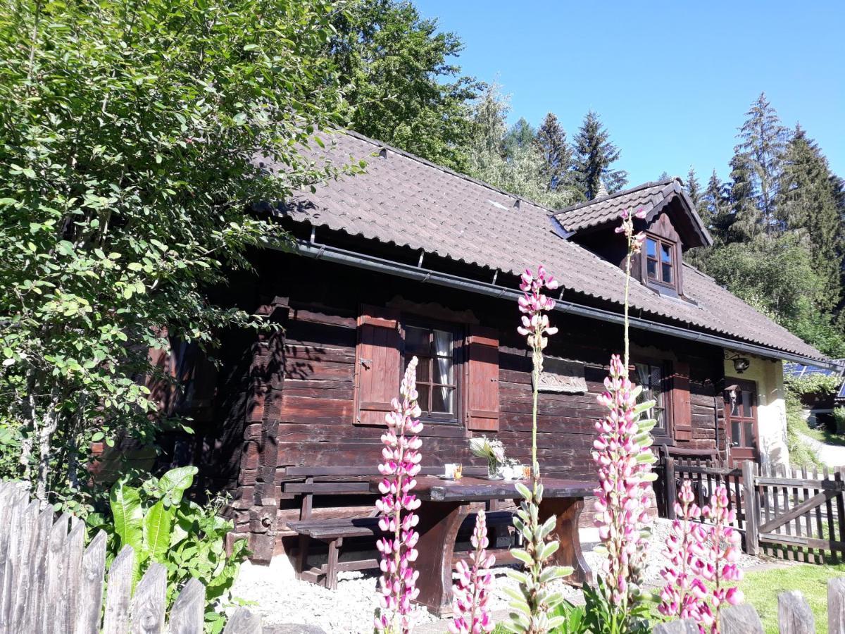Willa Umundumhuette Katsch an der Mur Zewnętrze zdjęcie