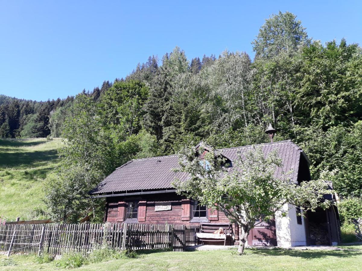 Willa Umundumhuette Katsch an der Mur Zewnętrze zdjęcie